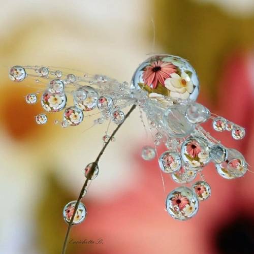  میری ولی اینو بدون که آخرین شکستته نرو نرو دیوونه میشم بیا برگرد